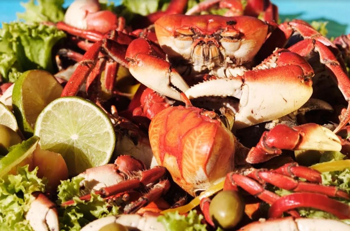 A diversidade gastronômica da cozinha sergipana é patrimônio material - Foto: Asscom Unit