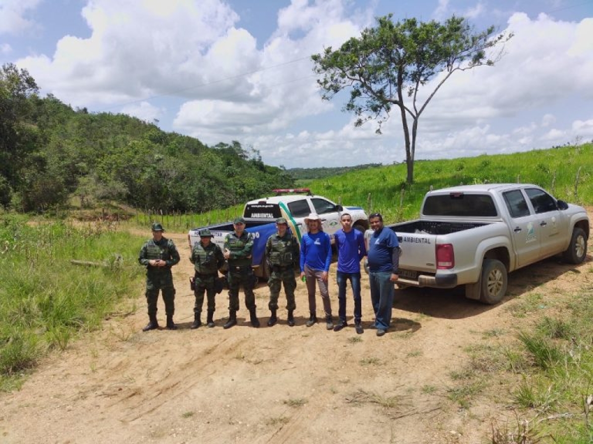 Mata Atlântica em Pé: Em Sergipe, Operação identifica cerca de 186,78 hectares de desmatamento - Foto: MP/SE