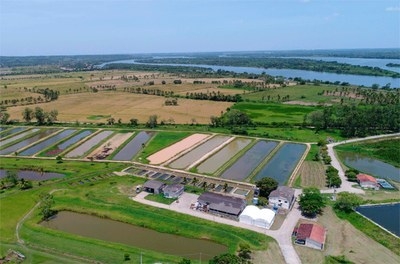 Codevasf inaugura unidade de pesquisa em aquicultura em Sergipe - Foto: Codevasf/SE Codevasf inaugura unidade de pesquisa em aquicultura em Sergipe - Foto: Codevasf/SE