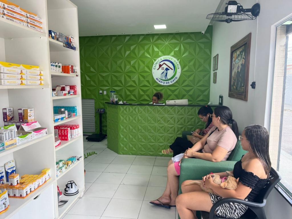 Cadastro para castração de animais está temporariamente suspenso - Foto: Ascom SMS Aracaju Cadastro para castração de animais está temporariamente suspenso - Foto: Ascom SMS Aracaju