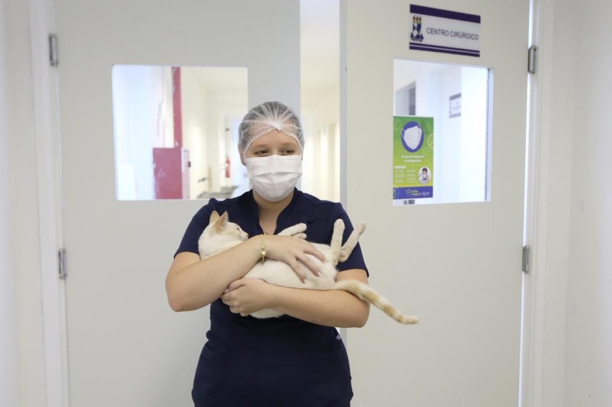 Programa Aju Animal assegura cuidados básicos de saúde para cães e gatos - Foto: Marcelle Cristinne - Prefeitura de Aracaju
