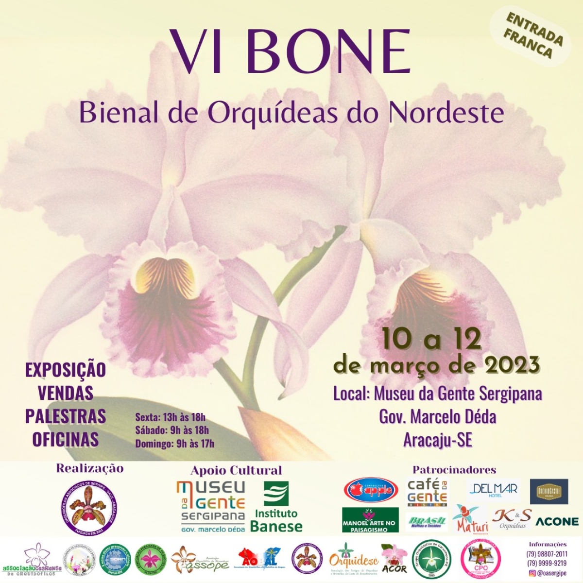 Sergipe sediará 6º Bienal de Orquídeas do Nordeste - Imagem: Divulgação