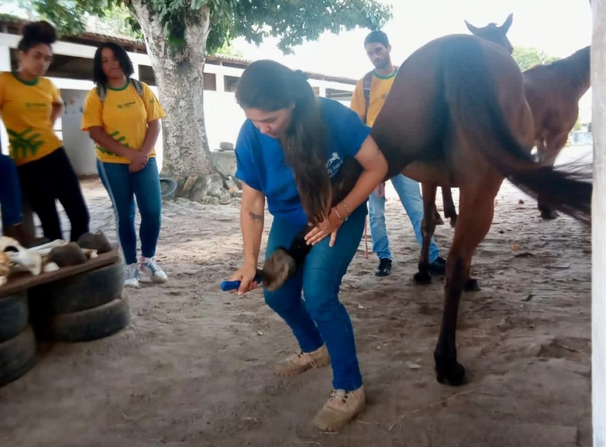 Senar Sergipe abre inscrições para nova turma do Senar Jovem em Equinocultura - Foto: Senar/SE