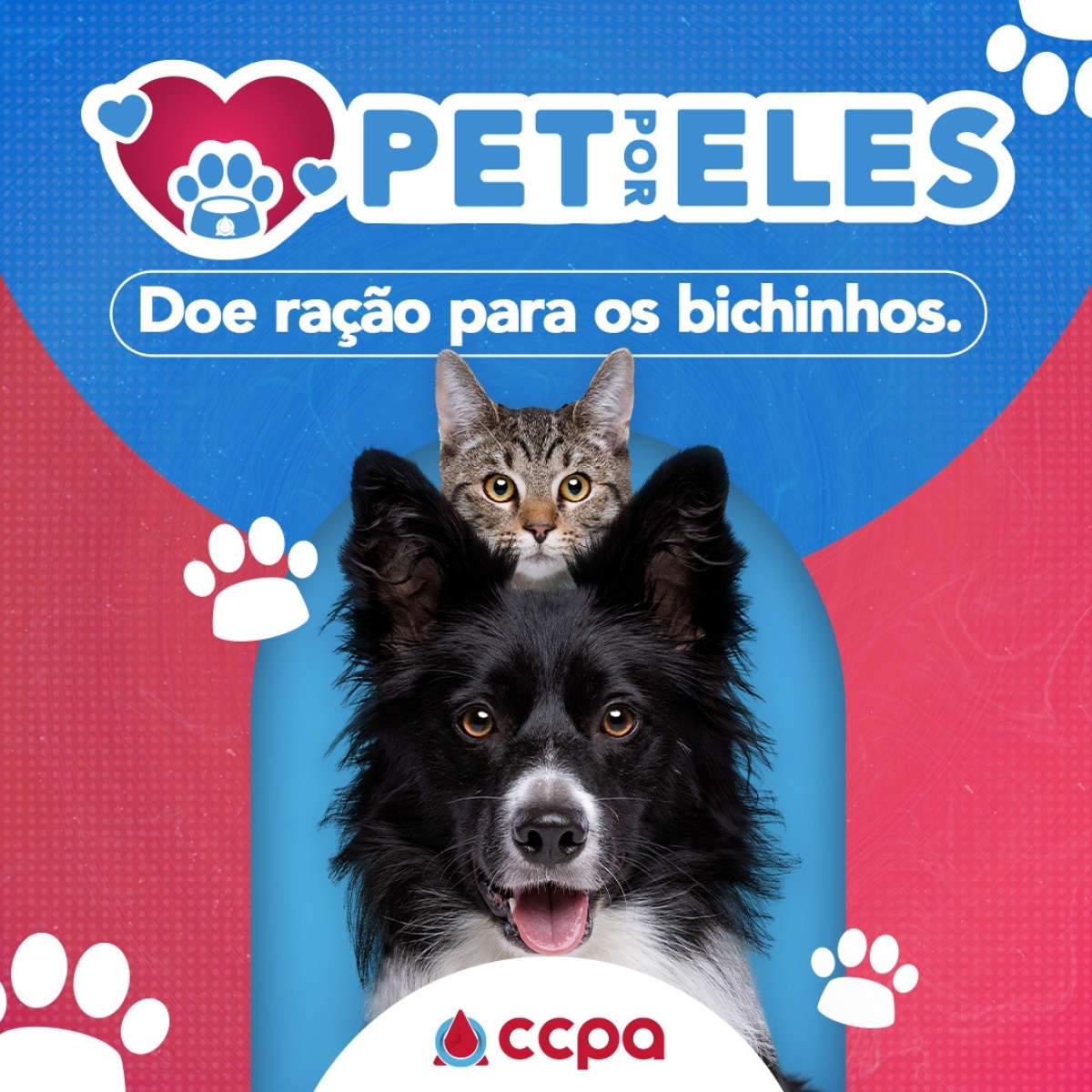 Pet por Eles - Imagem: Divulgação Pet por Eles - Imagem: Divulgação