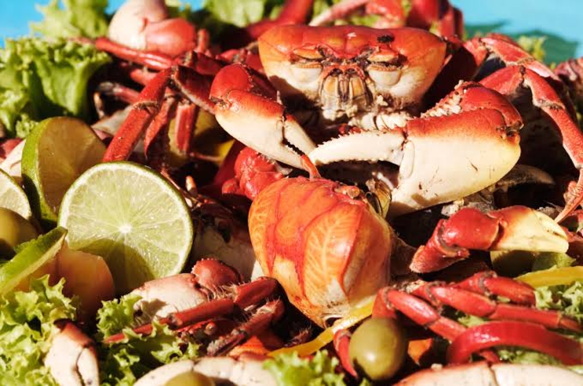 Saboroso, o caranguejo emprestou o nome a uma rua na Orla de Atalaia - Foto: Emsetur