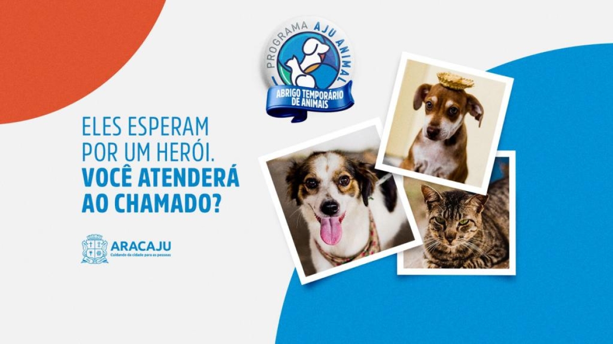 Adoção temporária dá mais dignidade a cães e gatos em situação de vulnerabilidade - Arte: Secom | Prefeitura de Aracaju