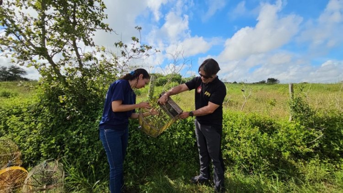 FPI/SE flagra descarte irregular e interdita lixão de Graccho Cardoso - Foto: FPI/SE | MPSE