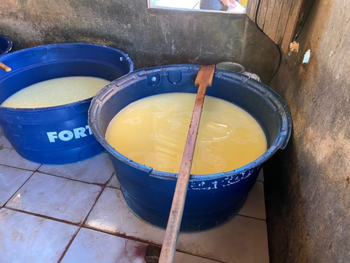 Equipe Abate da FPI/SE interdita queijaria e constata atividade irregular de uma pocilga - Foto: FPI/SE | MPSE