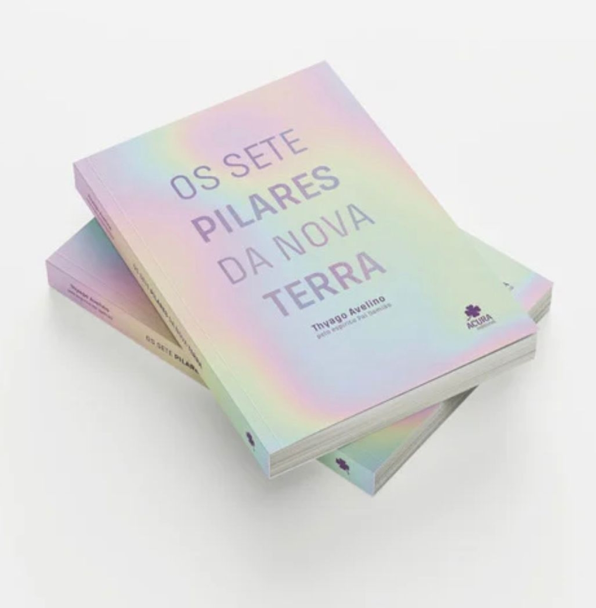 Livro "Os 07 Pilares da Nova Terra" - Imagem: Divulgação