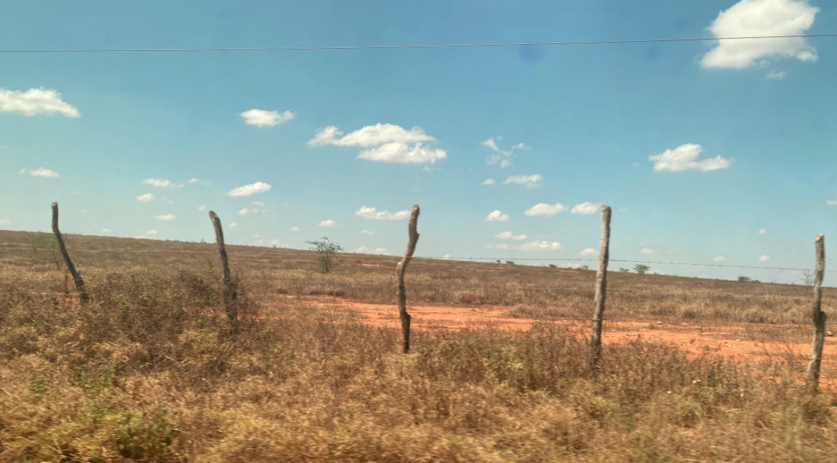 O objetivo da inspeção é avaliar as condições do local para a instalação do empreendimento - Foto: Mariana Carvalho | Adema
