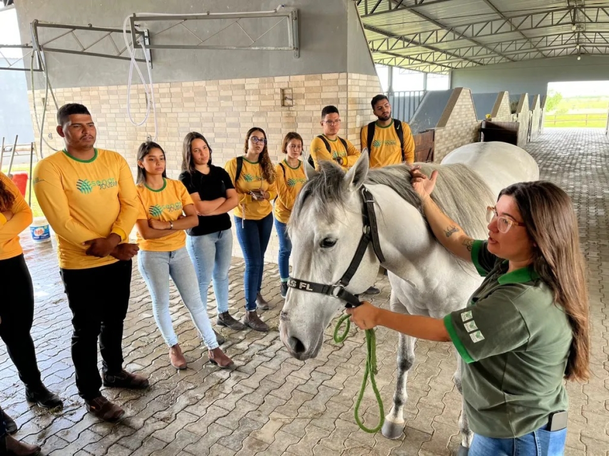 Senar Sergipe abre inscrições para cursos profissionalizantes gratuitos no setor agropecuário - Foto: Senar/SE