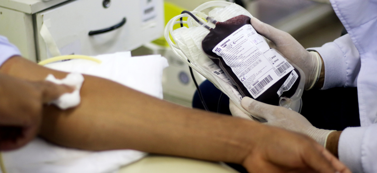 Ministério da Saúde anuncia aplicativo para incentivar doação voluntária de sangue - Foto: Ministério da Saúde | gov.br