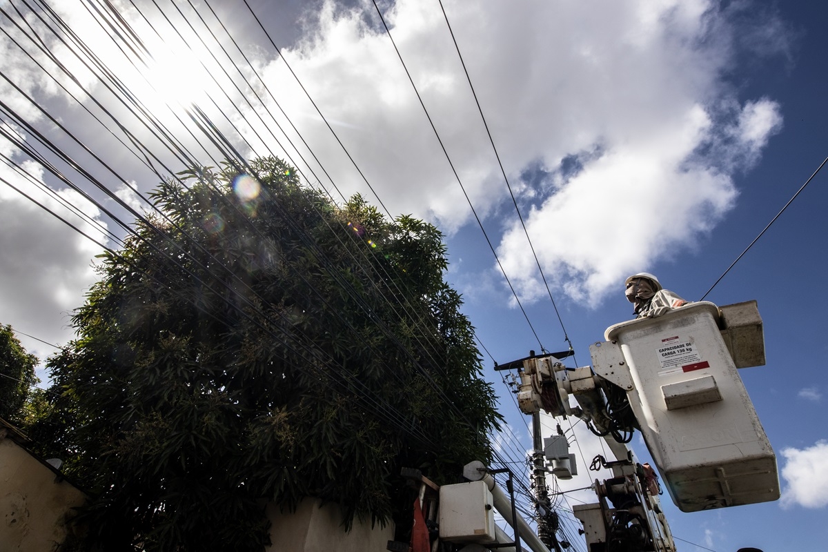 Energisa alerta sobre os riscos de plantar árvores próximas à rede elétrica - Foto: Assessoria Energisa Sergipe