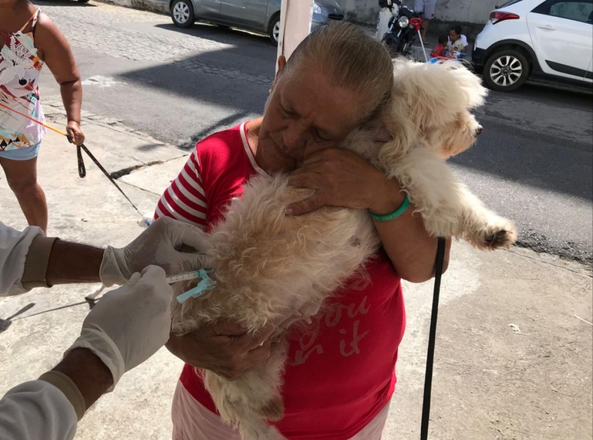Campanha antirrábica: postos fixos estarão disponíveis neste sábado, 2/ - Foto: Ascom | SMS | Prefeitura de Aracaju