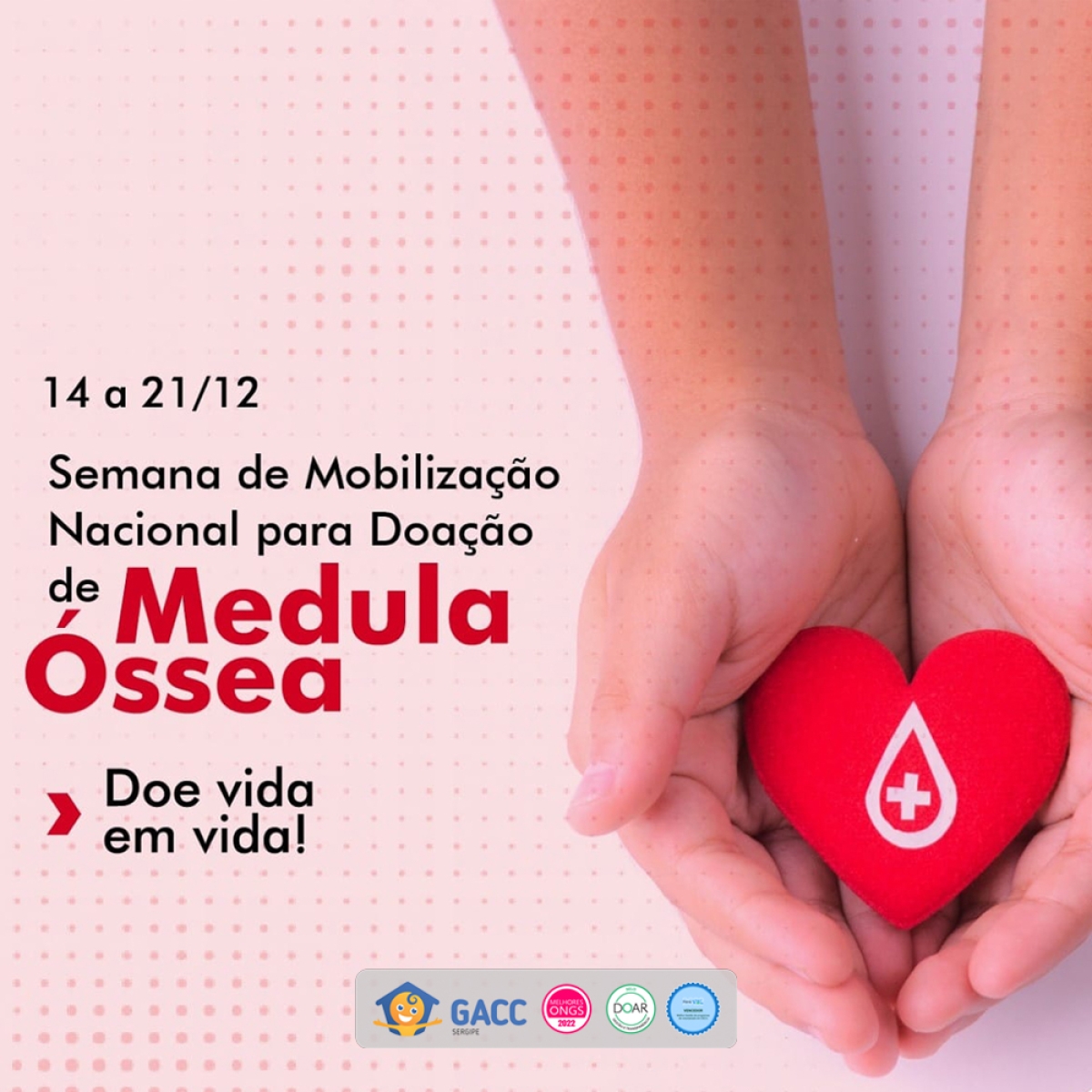 GACC/SE alerta para a Semana de Mobilização Nacional para Doação de Medula �?ssea - 14 a 21/12 - Imagem: Gacc Sergipe