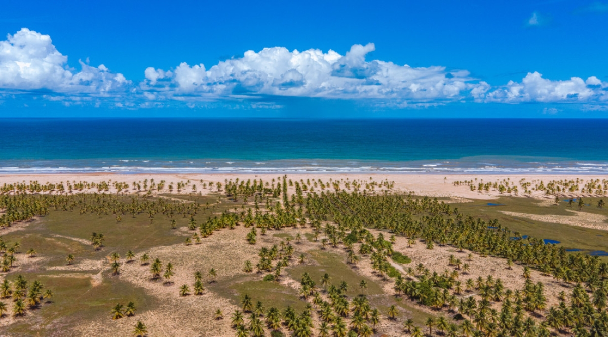 Confira a programação completa do quarto fim de semana do Verão Sergipe 2024 - Foto: Arthuro Paganini | Governo de Sergipe