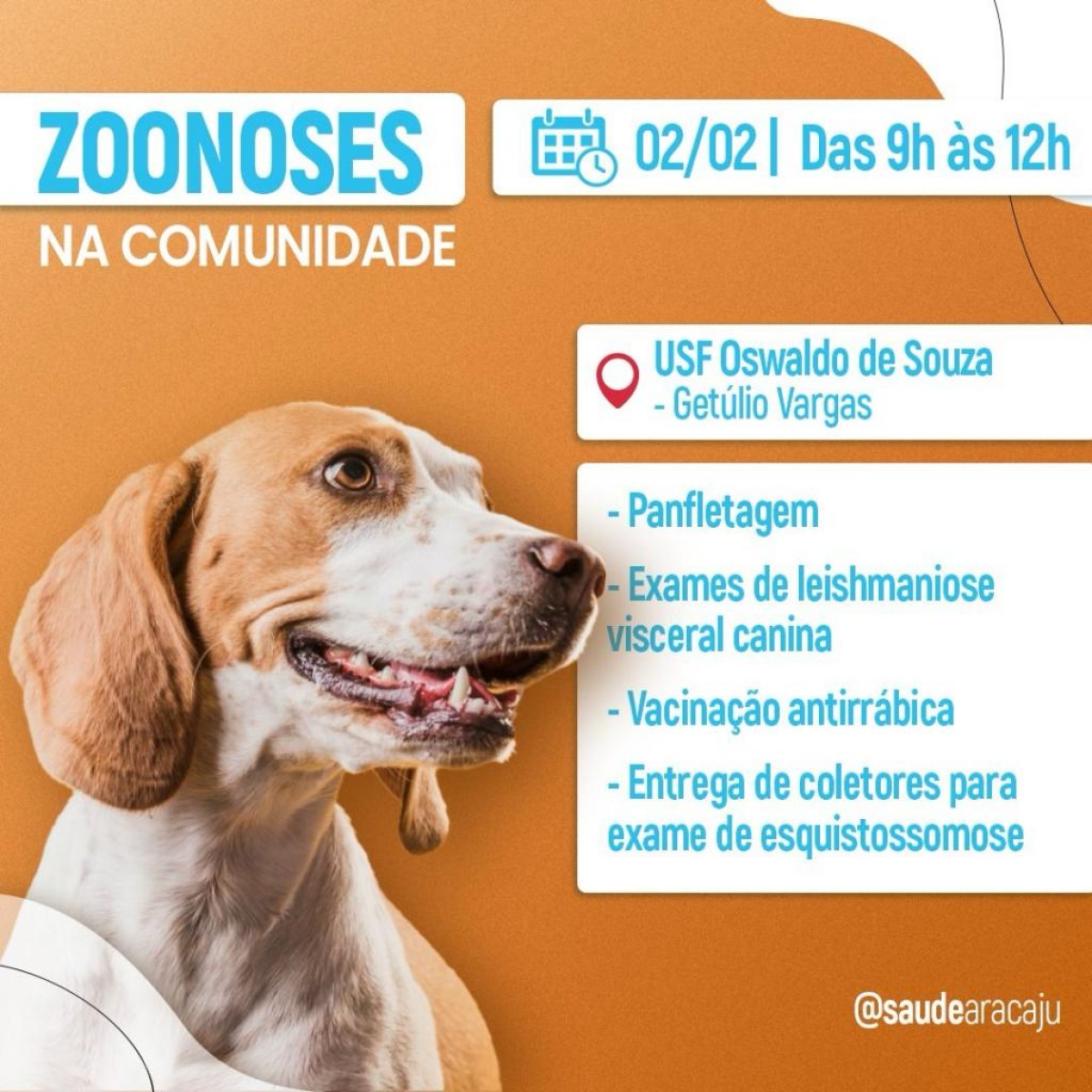 Zoonoses na Comunidade: Prefeitura de Aracaju realiza ação no Getúlio Vargas nesta sexta, 2/1 - Imagem: Divulgação