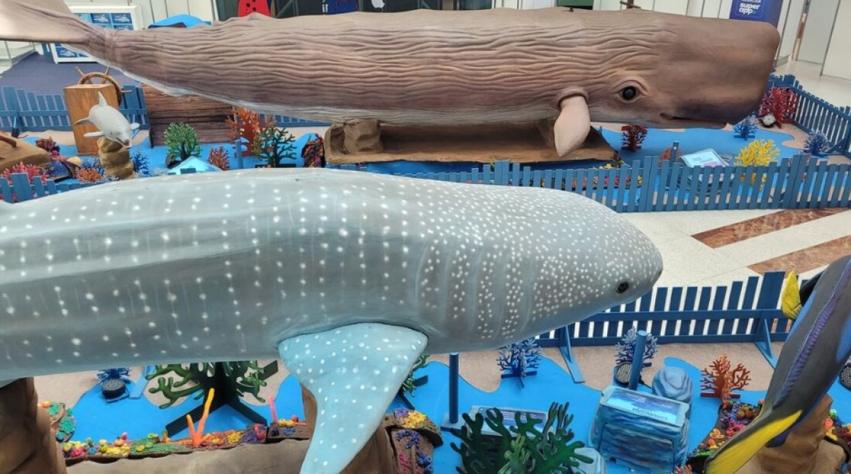 Exposição "O Fantástico Mundo Marinho" chega ao RioMar Aracaju com acesso gratuito - Foto: Divulgação