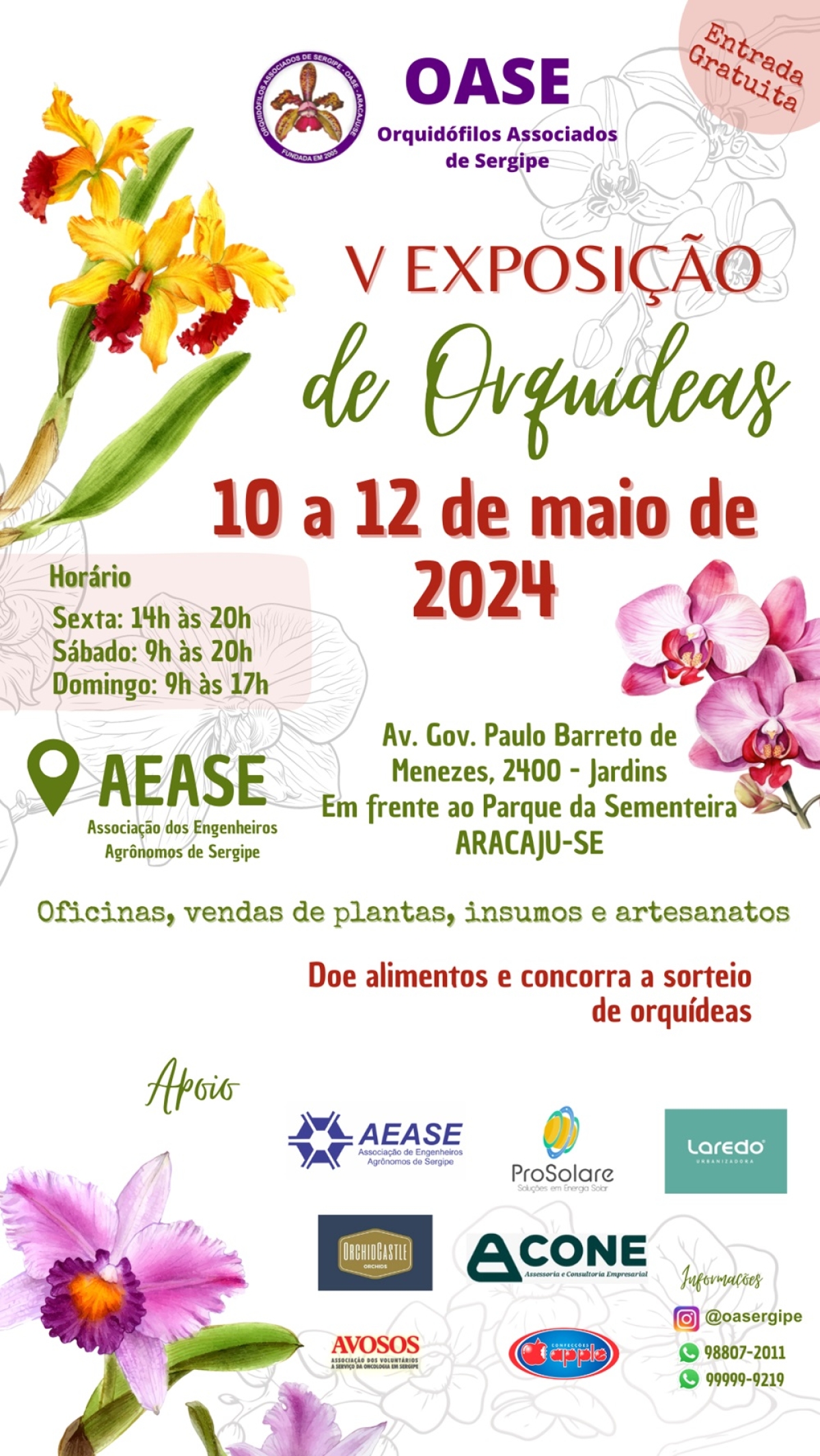 Aracaju sediará exposição de orquídeas no mês de maio - Foto: Divulgação/Assessoria OASE Sergipe
