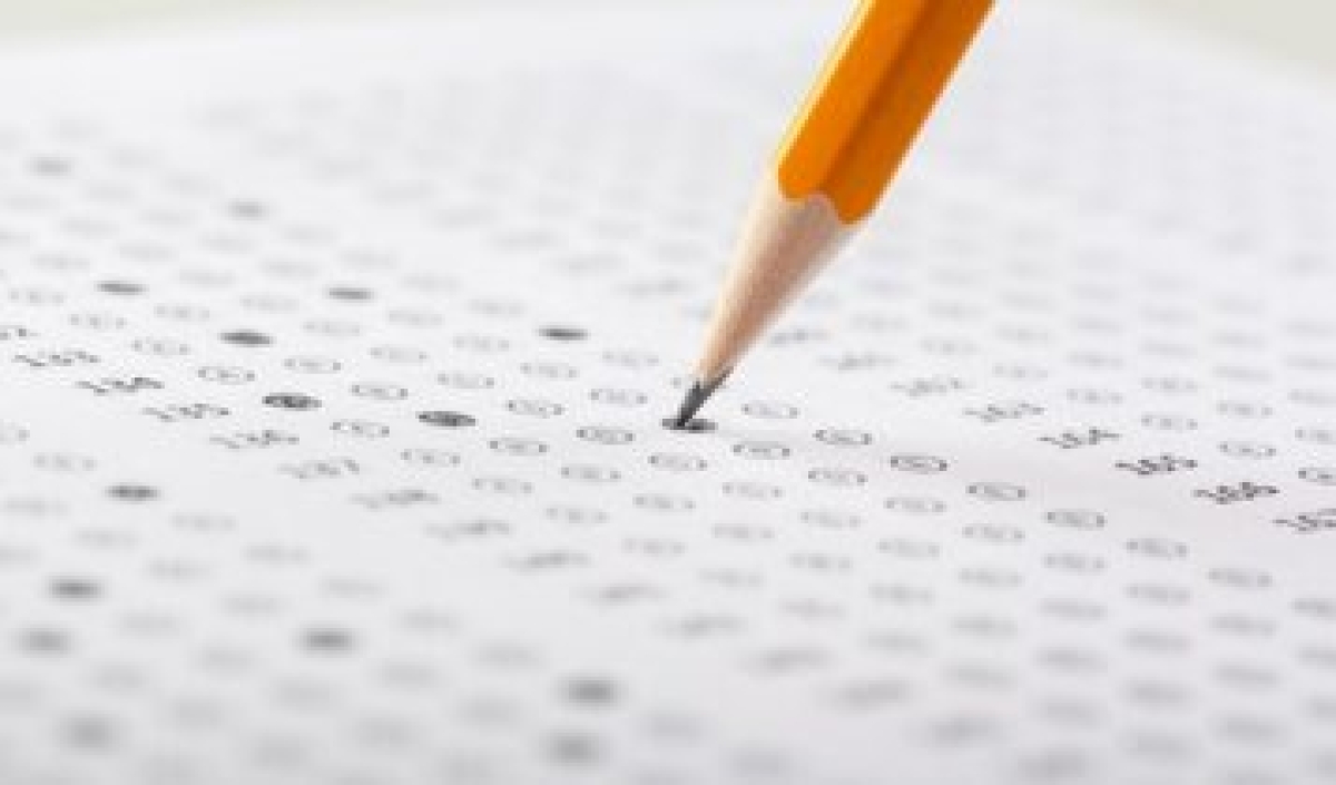 TCE-PA lança edital de concurso público com oferta de 50 vagas - Foto: Freepik
