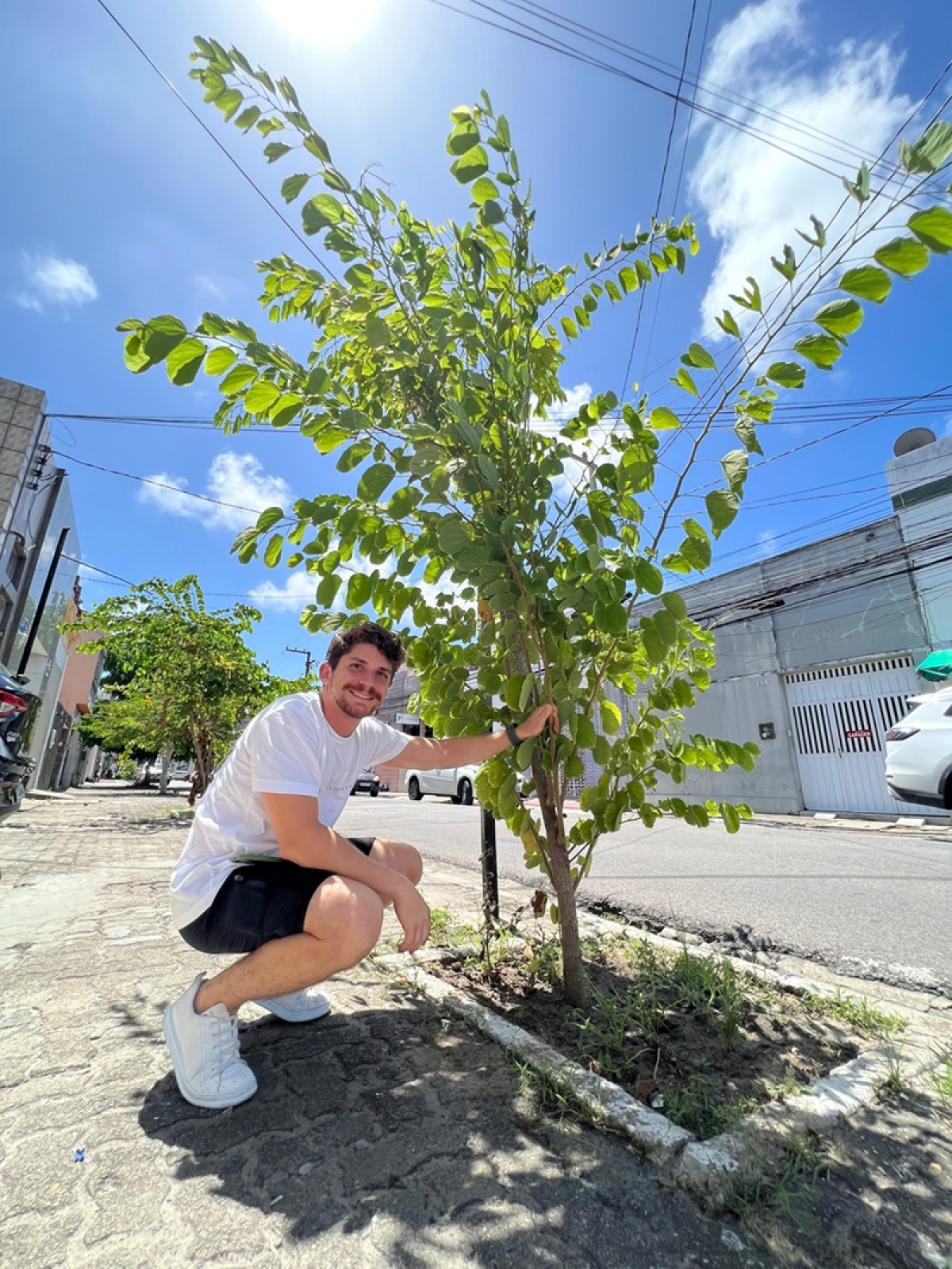 Dia do Meio Ambiente: Comissão da CMA e mandato Breno Garibalde fazem ação conjunta - Foto: Camila Ramos/Assessoria
