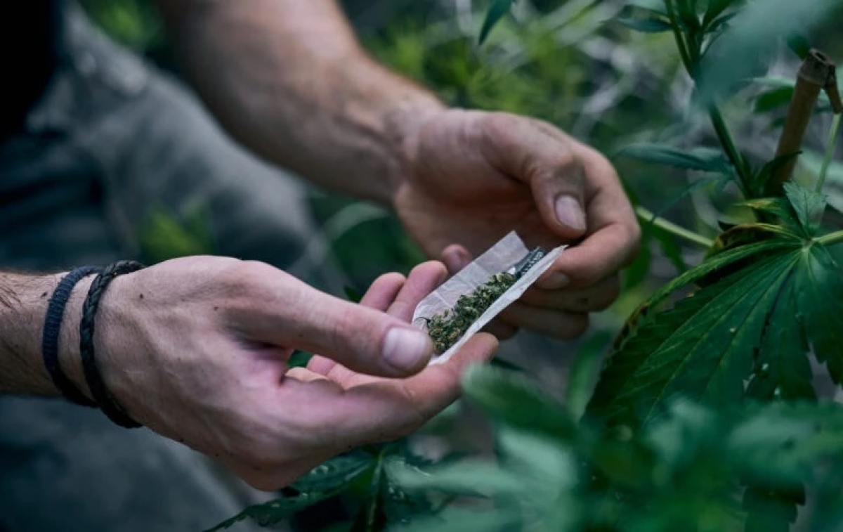 Tamanho do "baseado" depende também da habilidade em "enrolar" o cigarro - Foto: wirestock /Freepik
