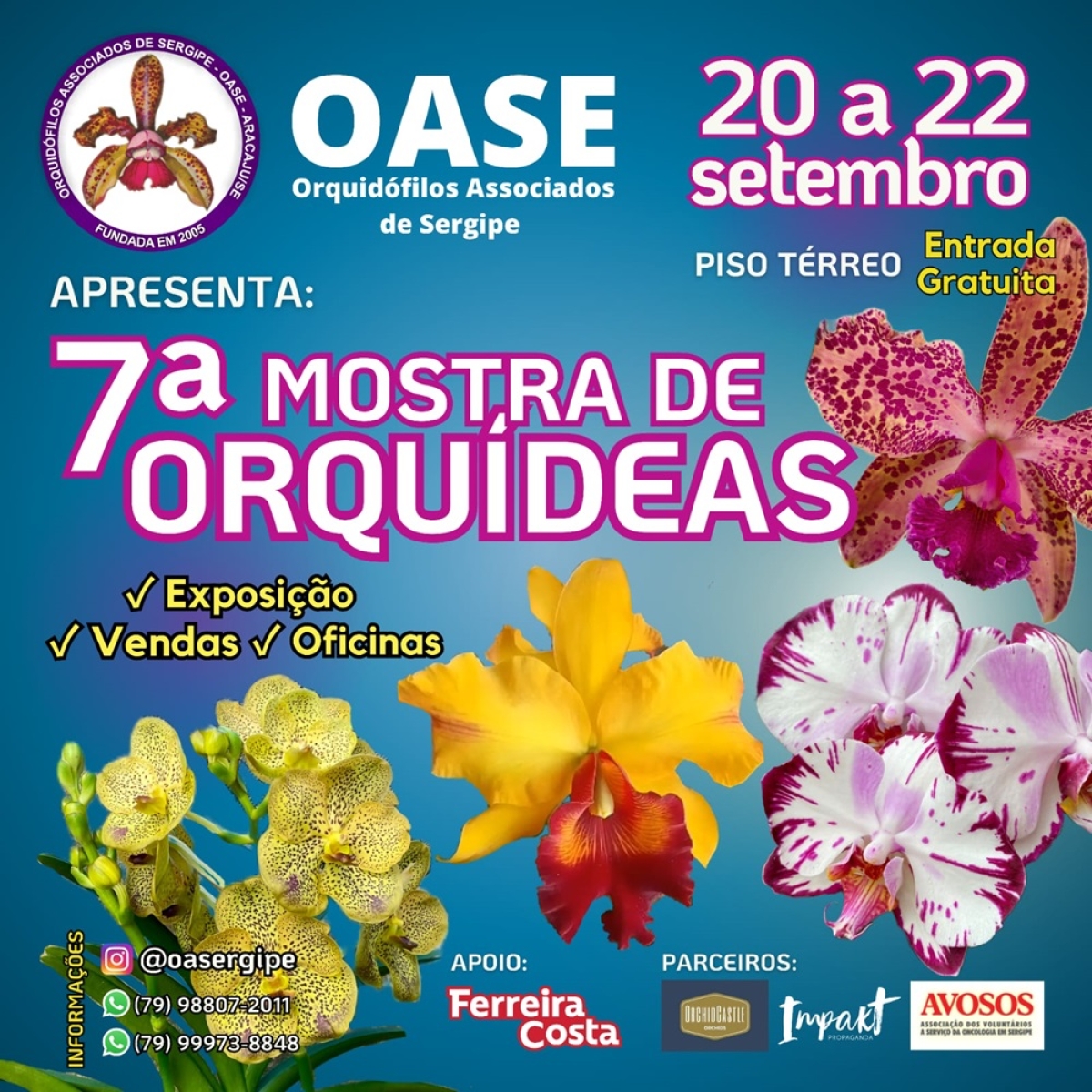 Imagem: OASE