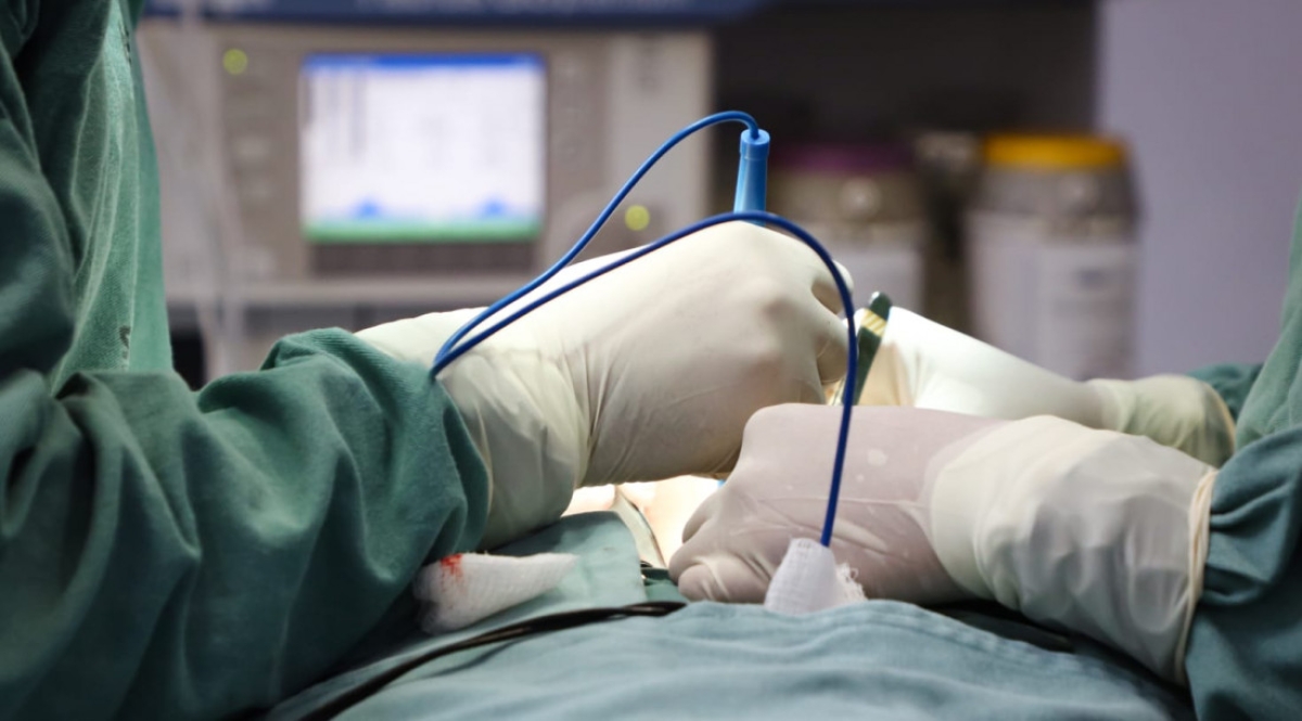 Governo do Estado garante cirurgia para pacientes com endometriose em Sergipe - Foto: Flávia Pacheco/Governo de Sergipe
