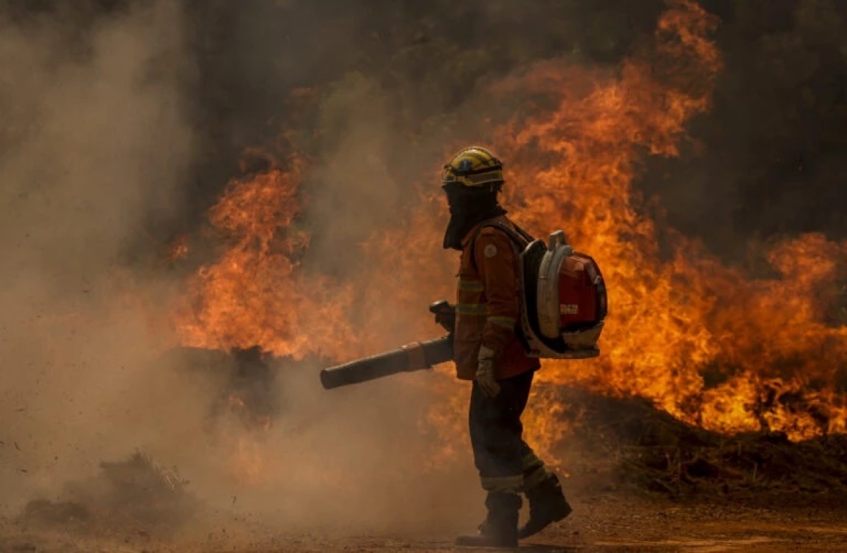Bombeiros combatem incêndio em área de cerrado próxima ao Aeroporto de Brasília - Foto: Marcelo Camargo/Agência Brasil
