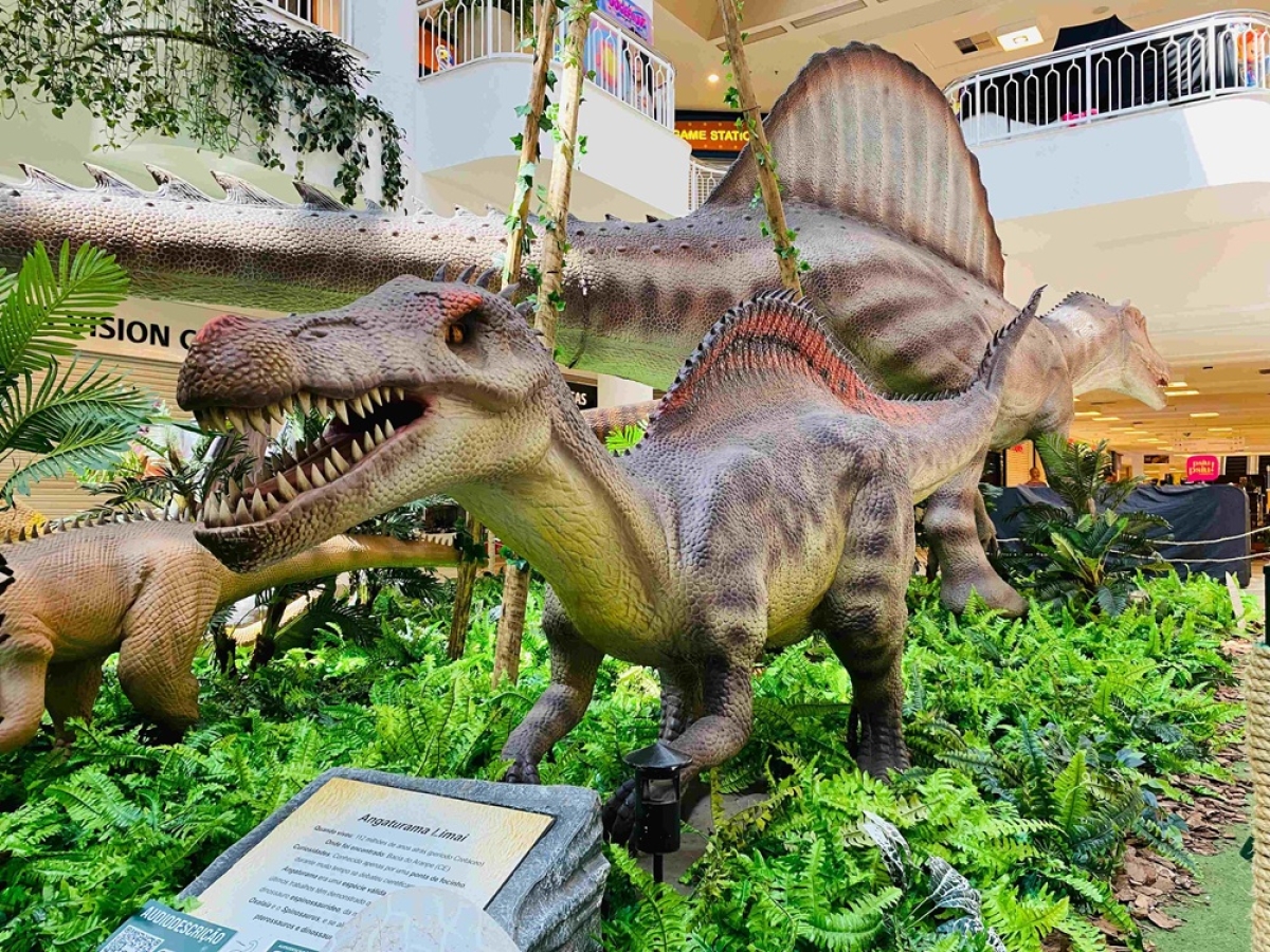 Circuito Jurássico - Foto: Arquivo Grupo JCPM
