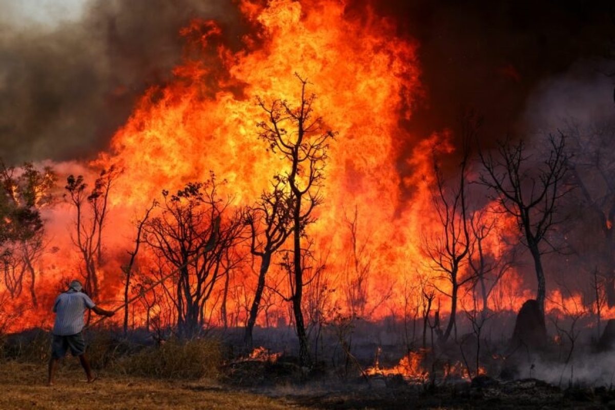 Incêndio no parque Nacional em Brasília (DF) - Foto: Fabio Rodrigues-Pozzebom/Agência Brasil
