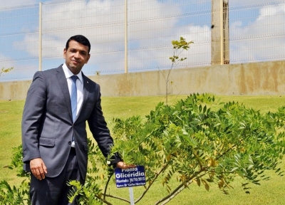 Membros e servidores do MP/Sergipe adotam uma rvore - No basta plantar  preciso cuidar (Foto: MP/SE)