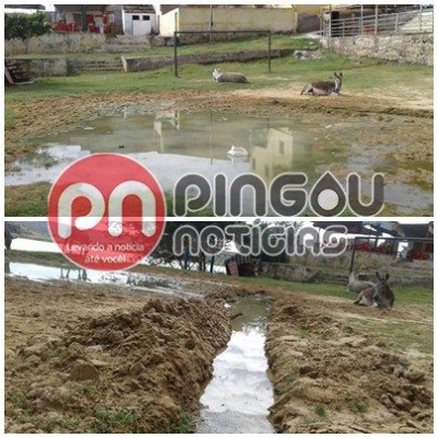 Morador flagra esgoto sendo despejado em principal ponto tur�stico de cidade do Sert�o (Imagem: Pingou Not�cias)
