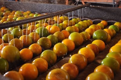 O setor de sucos liderou, mais uma vez, a pauta de exporta��o do estado (Imagem: Arquivo | ASN)