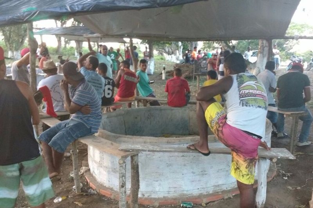 PM/Sergipe fecha rinha de galo e apreende 20 aves em Povoado de Maruim (Imagem: PM/SE)