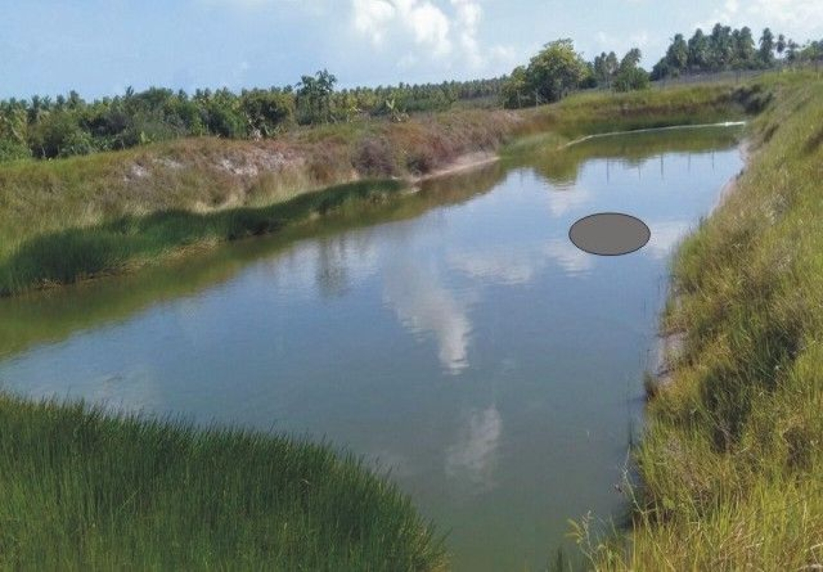 Homem  encontrado morto na regio litornea de Estncia (Imagem: Dirio Sergipano)