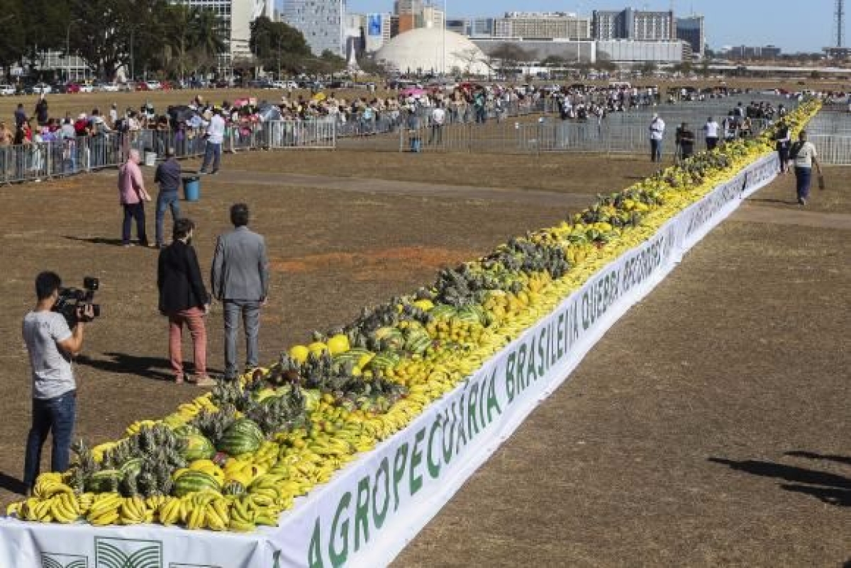 Com maior mostrurio de frutas do mundo, Brasil quebra recorde e entra para o Guinness Book. As frutas foram trazidas por agricultores de diversos estados no Dia do Agricultor (Foto: Elza Fiza/Agncia Brasil)