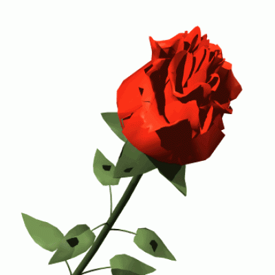 Dia Internacional da Mulher