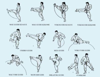 Golpes de karate ( Foto: Reproduo/Internet)