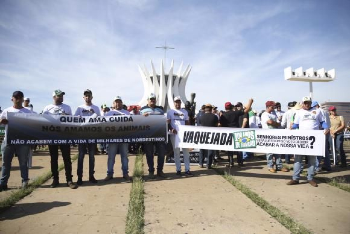 Manifestantes protestam contra decis�o do Supremo Tribunal Federal de proibir a vaquejada no pa�s (Imagem: Jos� Cruz/Ag�ncia Brasil)